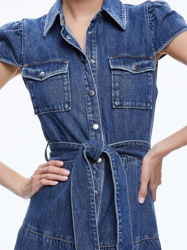 Alice and Olivia Miranda Maxi Denim Dress-Women Dresses